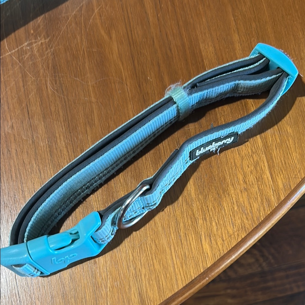 Dog Leash and Collar - Picture 2 of 5